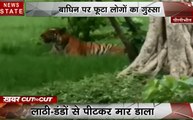 पीलीभीत : एक बाघिन को लोगों ने पीट- पीट कर मार डाला, देखें कैसे उतार रहे हैं लोग इस बाघिन पर गुस्सा