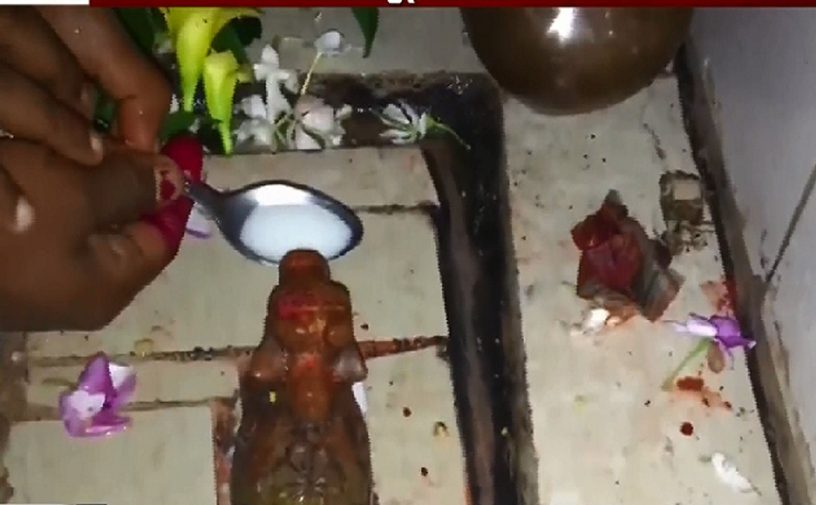देश में नंदी के दूध पीने का क्या है सच, गया और लखनऊ के वीडियो वायरल