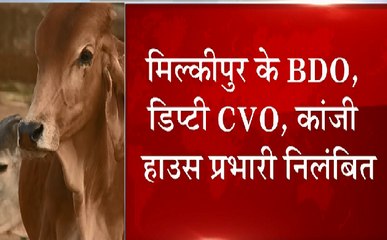 गौवंश की मौतों पर CM Yogi Adityanath एक्शन में, कई अधिकारियों को किया निलंबित