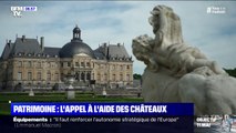 L'appel à l'aide des châteaux de France pour sauver le patrimoine
