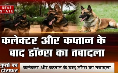 Madhya pradesh: कलेक्टर और कप्तान के बाद अब डॉग्स के तबादले, देखें वीडियो