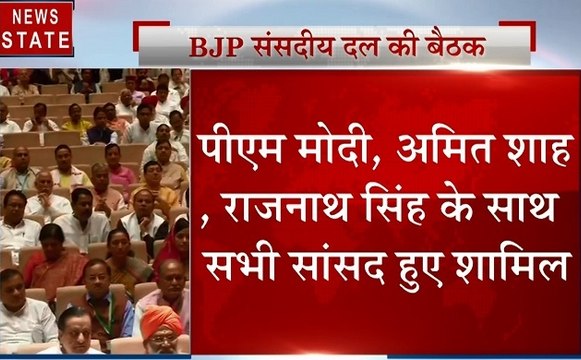 बीजेपी संसदीय दल की बैठक, सभी MP को पदयात्रा निकालने के निर्देश, देखें वीडियो
