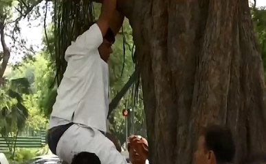 Rahul को मनाने के लिए हाई प्रोफाइल ड्रामा, एक कार्यकर्ता चढ़ा पेड़ पर