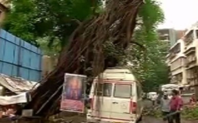 मुंबई के दादर इलाके में बारिश की वजह से गिरा पेड़