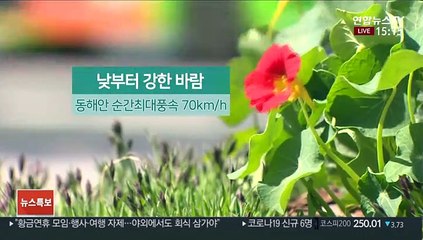 [날씨] 대기 건조·전국 강풍…주말 산불 주의