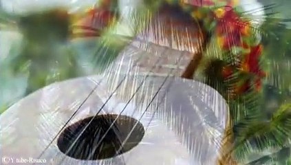 HG Acoustic Version by JS 🎸