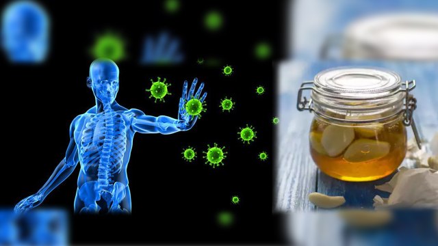 Honey और Garlic से ऐसे Strong करें अपना Immunity System | Fermented Honey Garlic Recipe | Boldsky