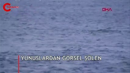 Sarayburnu'nda yunuslardan görsel şölen