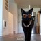 Cat Struts Dramatically Indoors Wearing Different Accessories