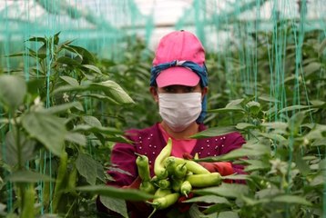 Herkes evde onlar üretimde