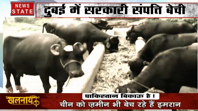 Khalnayak : इमरान के बर्तन बिक गए! चीन को जमीन भी बेच रहे हैं, देखें पाकिस्तान बिकाऊ है!