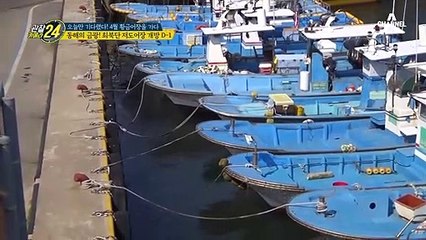 (폭풍전야)4월 동해의 금광! 최북단 저도어장 개방  D-1 풍경은?!