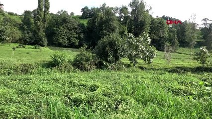 ORDU Prof. Dr. Sevgili: Görülmeyen böcek türlerine rastlayacağız