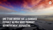 Dans 30 ans, le Pôle Nord pourrait connaître un été sans glace