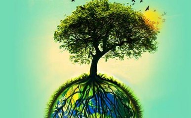 World Environment Day: प्रकृति का क्या हाल कर दिया हमने ?