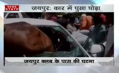 जयपुर: शीशा तोड़ कार में घुसा घोड़ा, बाल-बाल बचा चालक