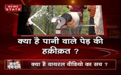 वायरल वीडियोः पानी वाले पेड़ की हकीकत