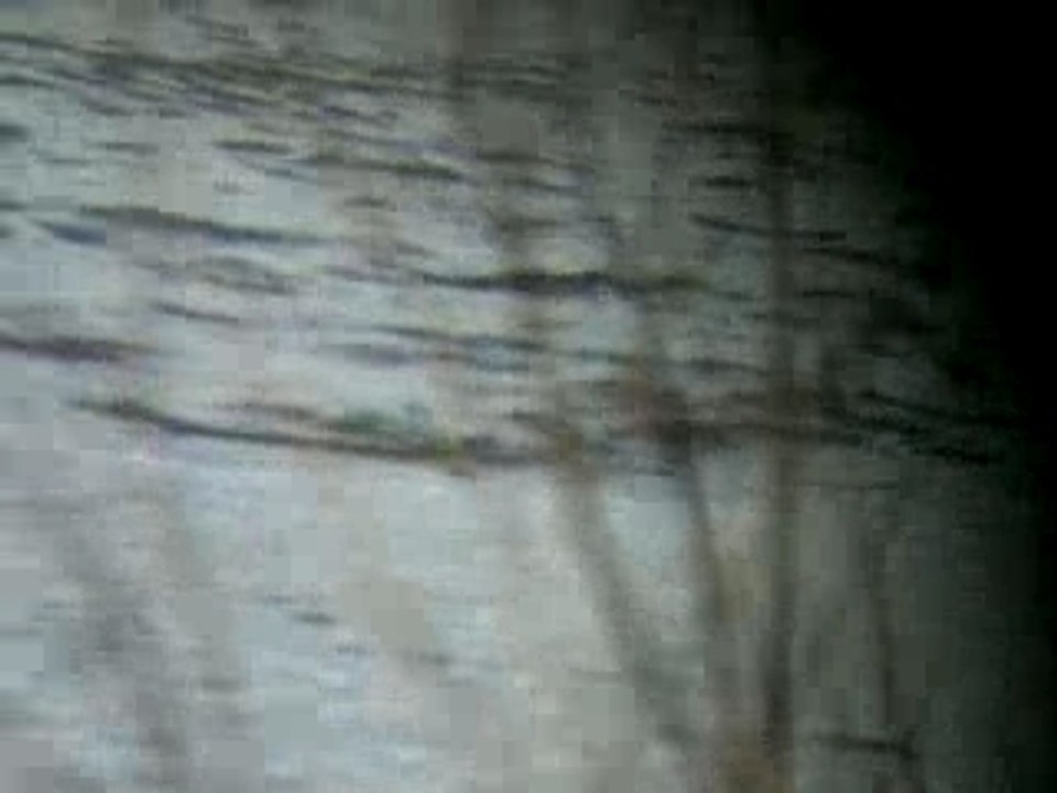 Wydra