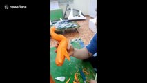 Vietnamese food sculptor creates a phoenix from carrots and papayas