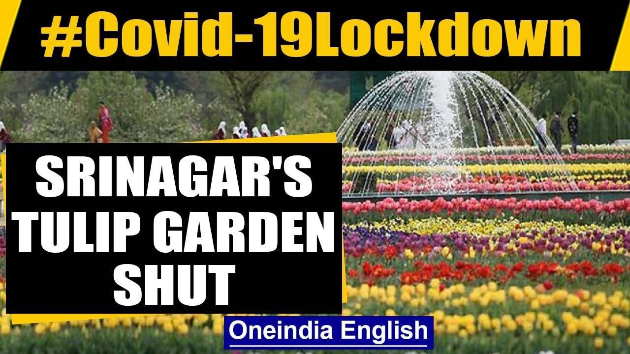 Srinagar: Asia's famous tulip garden closed for visitors amid Covid-19 Lockdown | Oneindia News