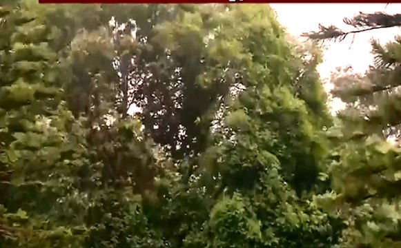 Cyclone Fani : 250 किमी हुई 'फानी' की रफ्तार, चक्रवाती तूफान फानी से सावधान