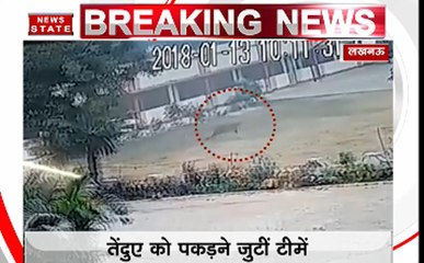 UP: लखनऊ के सेंट फ्रांसिको स्कूल में घुसा तेंदुआ, मचा हड़कंप