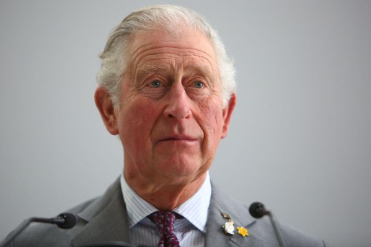 Prince Charles Reflects on the Coronavirus Pandemic in Encouraging Personal Essay