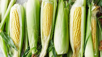 5 Mistakes You're Making with Corn on the Cob