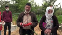 Siirt'te 80 yaşındaki şehit annesi oğlunun mezarına götürüldü
