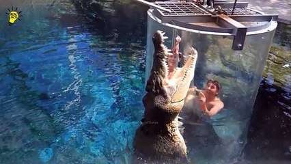 5 Most Dangerous,  Amazing And Strange Swimming Pools In The World Urdu - Hindi
