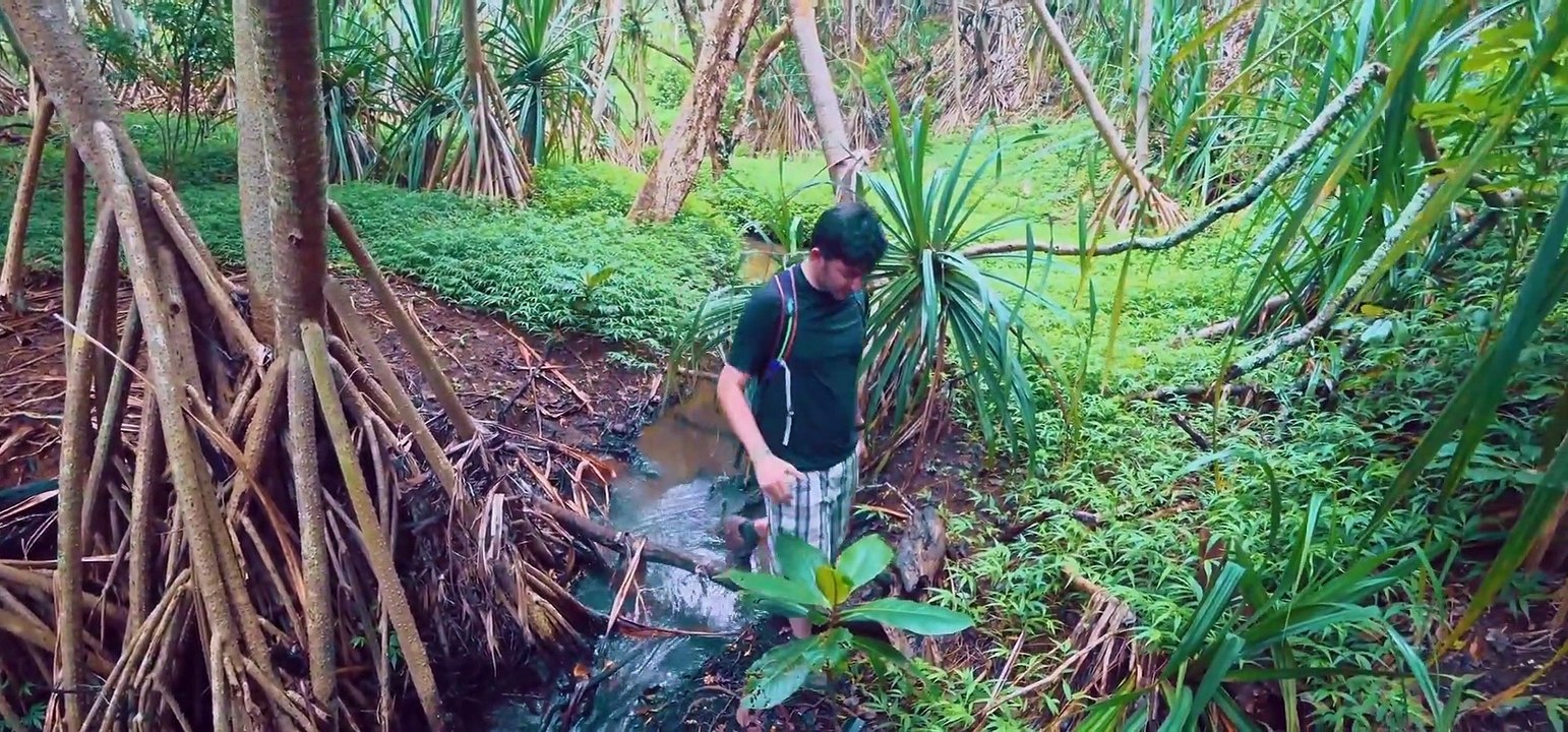 Kauai Hawaii 4K- The Garden Island