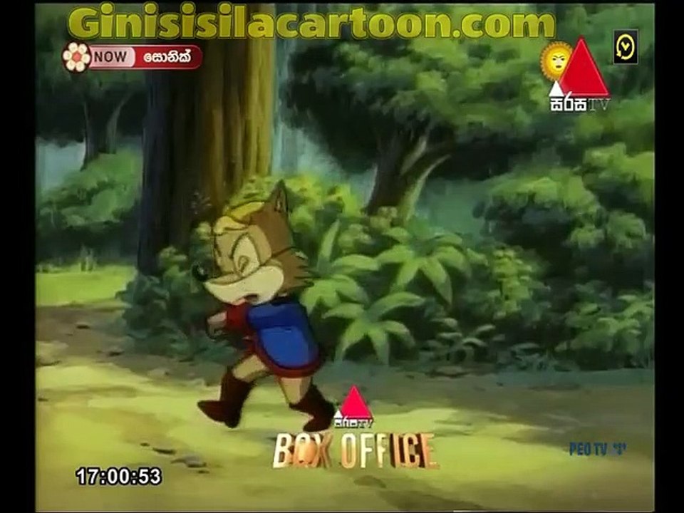 SONIC 19