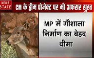 Madhya pradesh: MP में गौशाला का निर्माण बेहद धीमा, सीएम ने लगाई अधिकारियों को फटकार