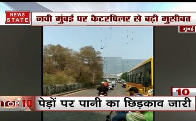 नवी मुंबई पर कैटरपिलर से बढ़ी मुसीबत, नगर  निगम और वन विभाग के छूटे पसीन