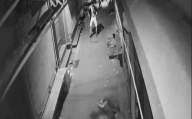 चोरी से पहले चोर ने लगाए ठमके , वीडियो वायरल