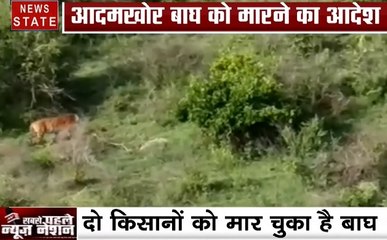 कर्नाटक में आदमखोर बाघ को मारने का आदेश हुआ जारी, देखिए ये Video