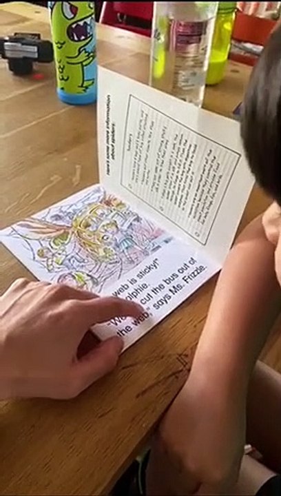 Homeschooling Difficulties While Learning to Read