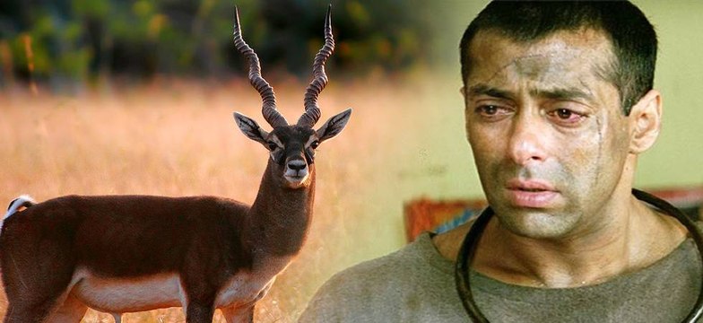 काला हिरण शिकार मामले में सलमान को लगा बड़ा झटका