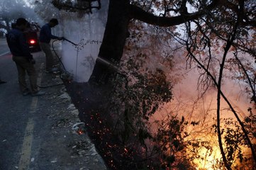 उत्तराखंड के जंगलों में लगी भंयकर आग