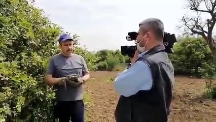 Ekrem İmamoğlu'na limon kumpası deşifre oldu