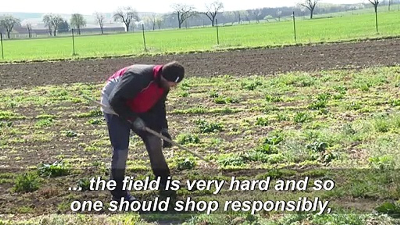 Austrians discover farm work in coronavirus labour crunch