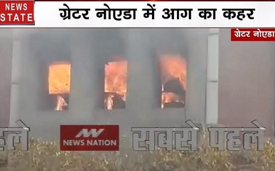 ग्रेटर नोएडा: गत्ता बनाने वाली फैक्ट्री में लगी आग, देखें वीडियो