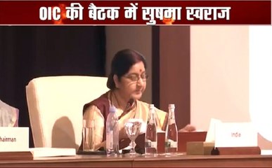 OIC की बैठक में बोलीं सुषमा स्वराज, भारत-अरब के रिश्ते रहे हैं ऐतिहासिक