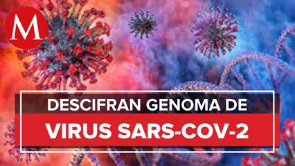 下载视频: Virus SARS-CoV-2 que circula en México sigue 99.97% idéntico al de Wuhan