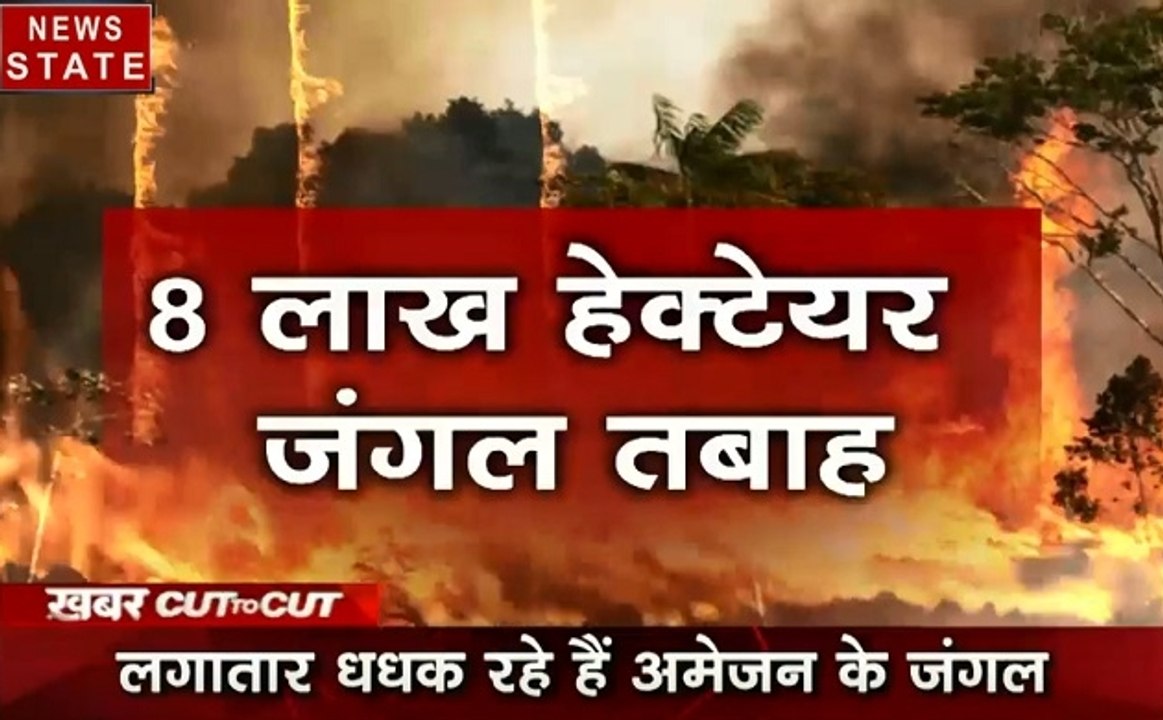 Khabar Cut To Cut: अमेजन के जंगलों में आग का आपातकाल, बारिश, बाढ़ और बर्बादी, देखें देश दुनिया की खबरें