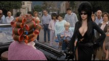 Elvira Mistress of the Dark Movie (1988) -  Cassandra Peterson