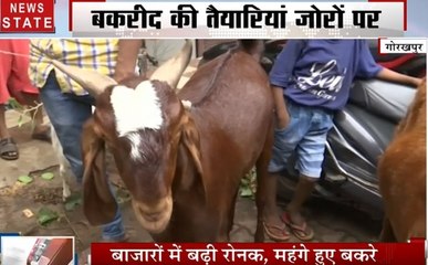 बकरीद 2019 : 10 से 80 हजार में बिक रहे बकरे, कुर्बानी का रिवाज