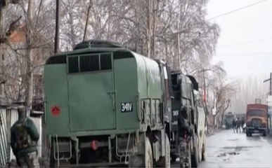 दोपहर का दंगल: क्या धारा 370 हटाने से आतंकवाद मिटेगा?