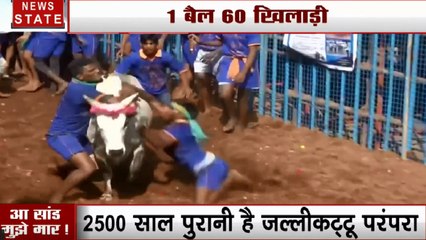Tamilnadu: मदुरै में खेला जा रहा जल्लीकट्टू का खतरनाक खेल, सांड को काबू में करने में जुटे खिलाड़ी