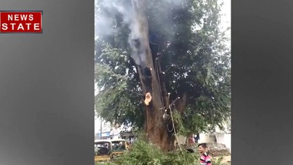 MP: जबलपुर में घटी अनोखी घटना, इमली के पड़े ने निकला धुआं, पानी डालने पर भी नहीं बुझ रही आग